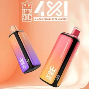 Bang Box 160K wholesale - disposable vape image 5 - Vapeuwell EU