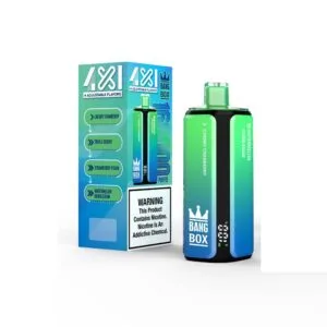 Bang Box 160K wholesale - disposable vape image 1 - Vapeuwell EU