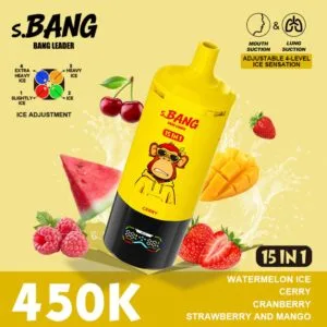 Bang Leader 450K wholesale - disposable vape image 1 - Vapeuwell EU