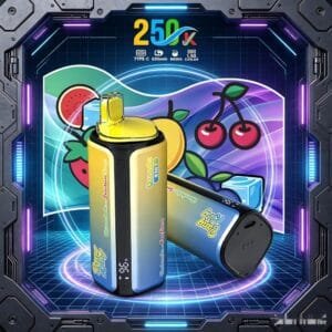 Bang King 250K wholesale - disposable vape image 9 - Vapeuwell EU