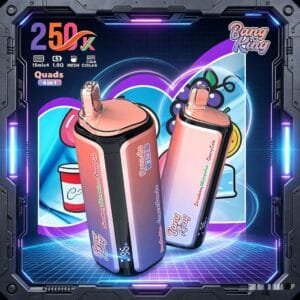 Bang King 250K wholesale - disposable vape image 2 - Vapeuwell EU