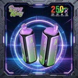 Bang King 250K wholesale - disposable vape image 3 - Vapeuwell EU