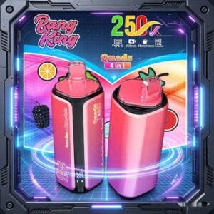 Bang King 250K wholesale - disposable vape image 7 - Vapeuwell EU