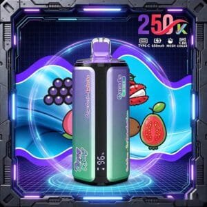 Bang King 250K wholesale - disposable vape image 1 - Vapeuwell EU