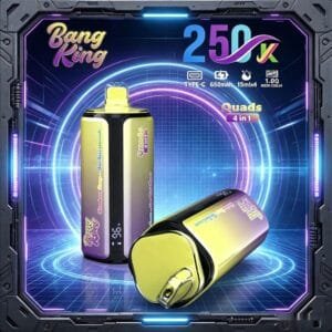 Bang King 250K wholesale - disposable vape image 6 - Vapeuwell EU