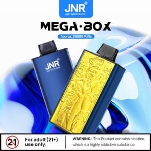 JNR Mega Box 25K disposable vape wholesale - Vapeuwell EU