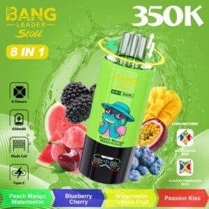 Bang Leader 350K wholesale - disposable vape image 1 - Vapeuwell EU