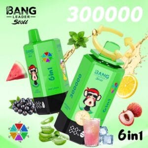 Bang Leader 300K wholesale - disposable vape image 5 - Vapeuwell EU