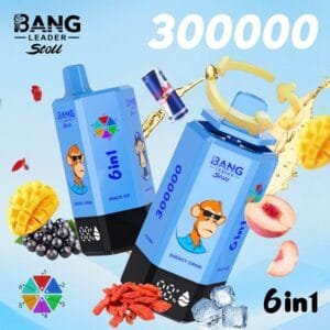 Bang Leader 300K wholesale - disposable vape image 1 - Vapeuwell EU