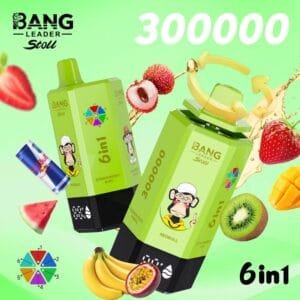 Bang Leader 300K wholesale - disposable vape image 3 - Vapeuwell EU