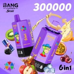 Bang Leader 300K 6-in-1 disposable vape wholesale - Vapeuwell EU