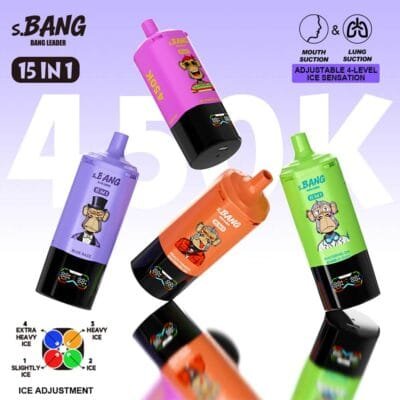 Bang Leader 450K wholesale - disposable vape image 8 - Vapeuwell EU