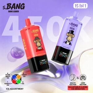 Bang Leader 450K 15-in-1 disposable vape wholesale - Vapeuwell EU