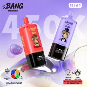 Bang Leader 450K 15-in-1 disposable vape wholesale - Vapeuwell EU