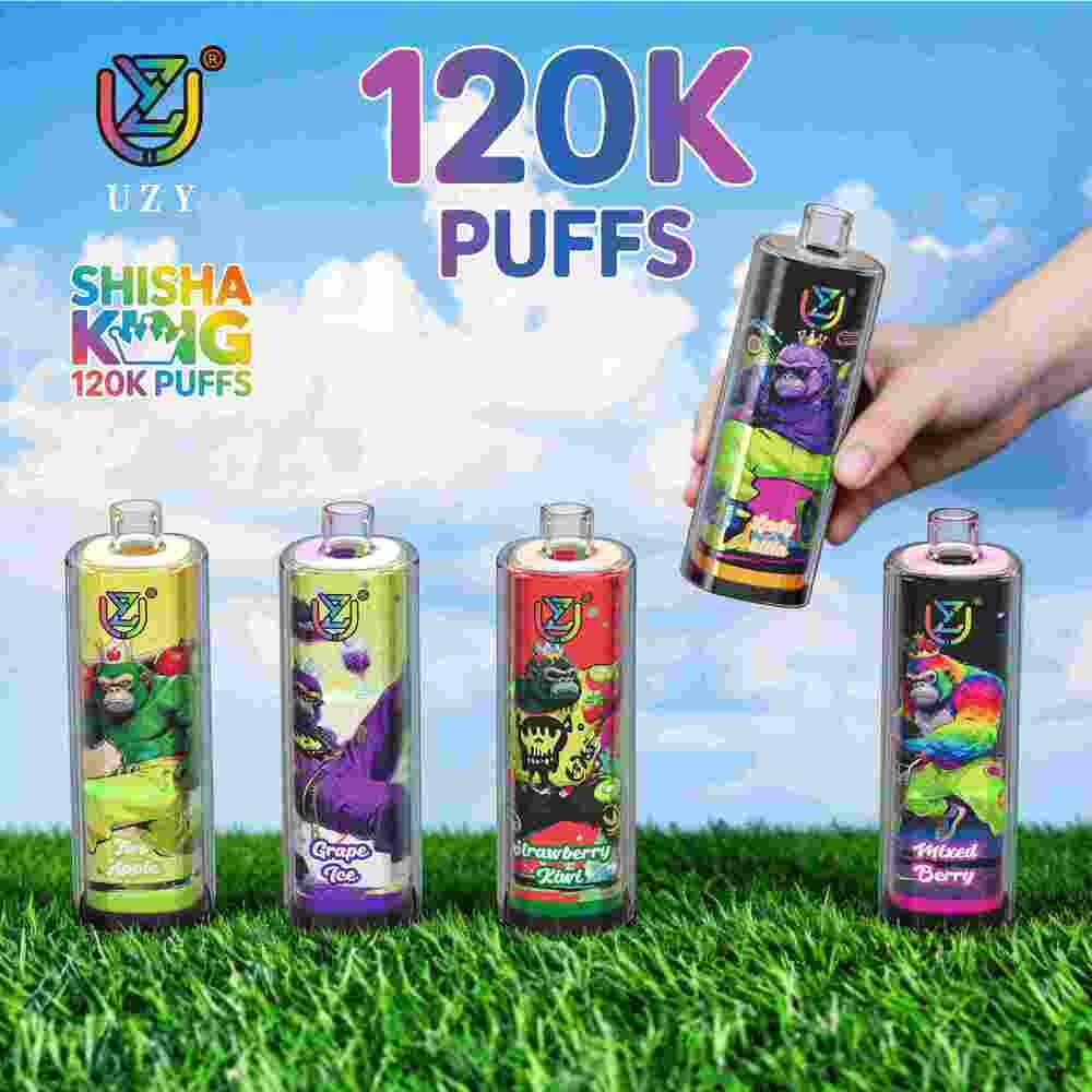 UZY Shisha Hookah King 120K wholesale - disposable vape image 8 - Vapeuwell EU