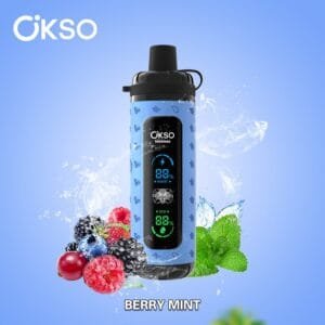 OKSO Hookah Shisha 40K wholesale - disposable vape image 2 - Vapeuwell EU