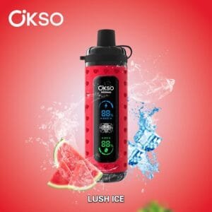 OKSO Hookah Shisha 40K wholesale - disposable vape image 1 - Vapeuwell EU